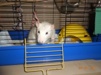 /album/fotogaleria/g-7-jpg/